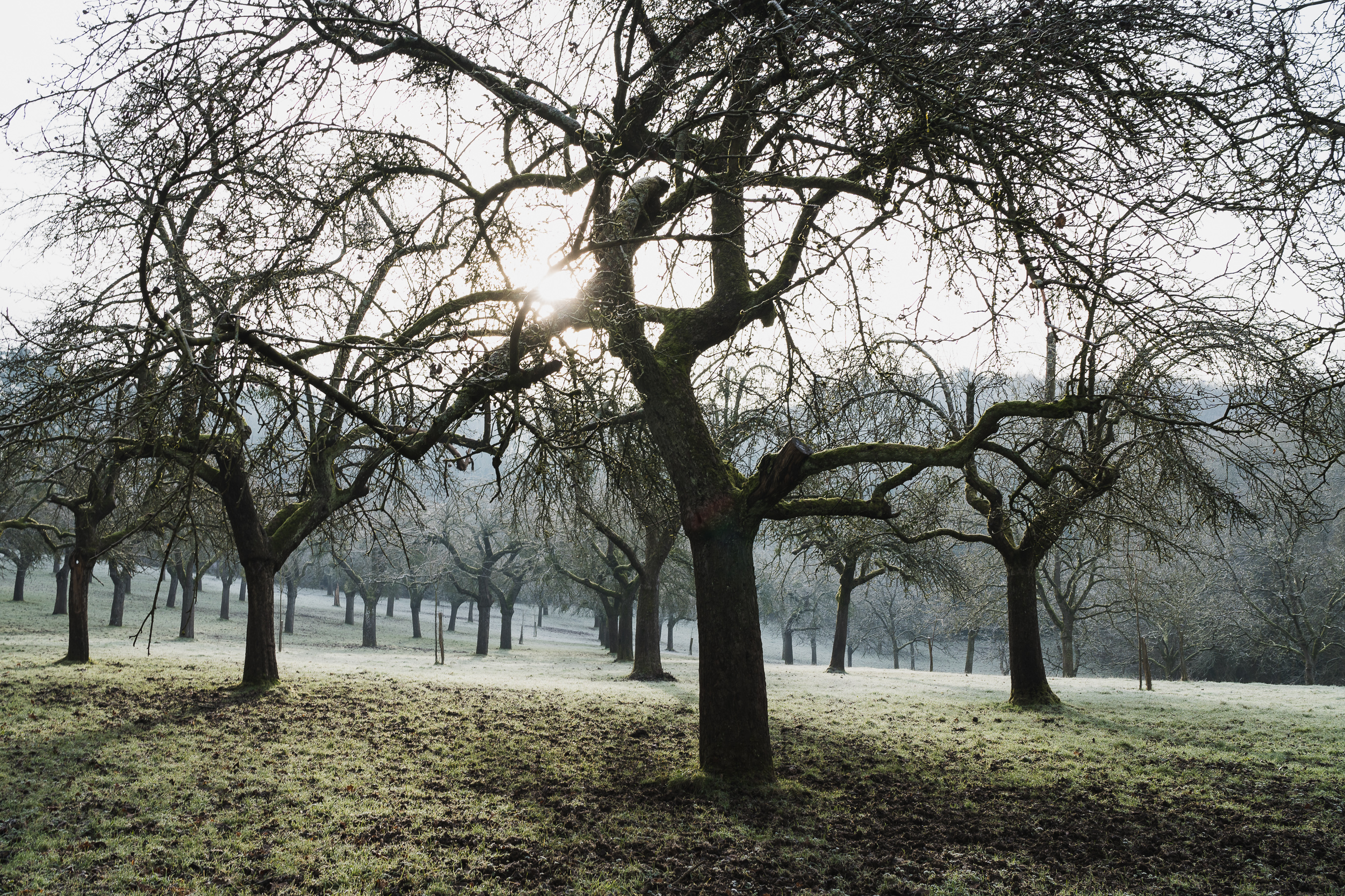 dinant_ll_05_dsc00919