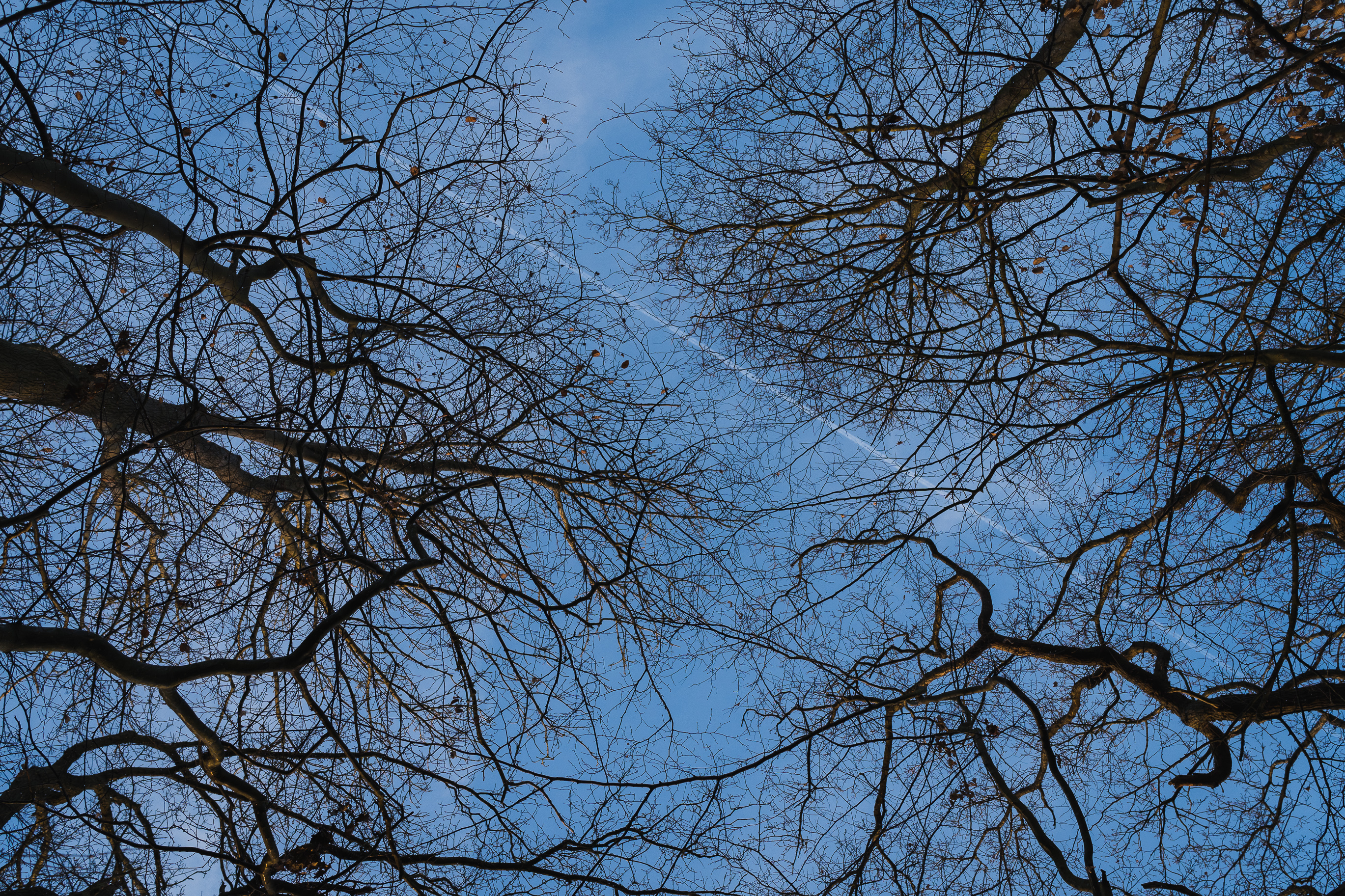 dinant_ll_12_dsc00782