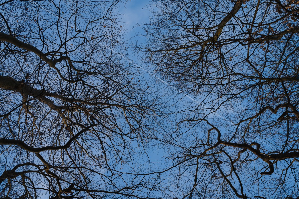 dinant_ll_12_dsc00782