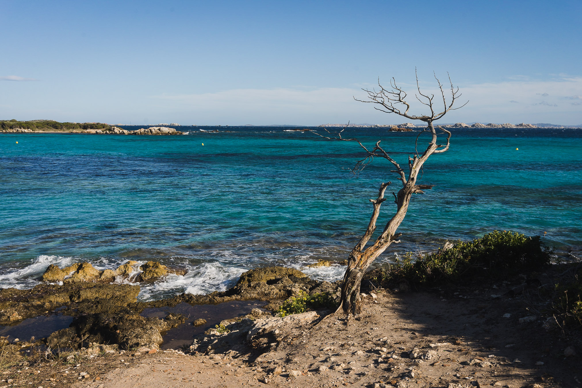 Corsica_LL_28_DSC09304