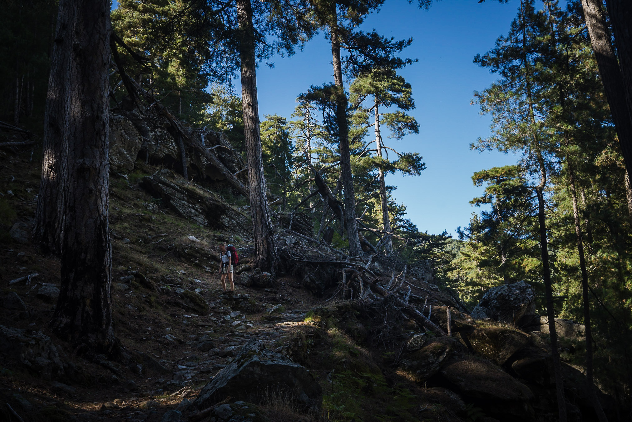 Corsica_LL_38_DSC09464