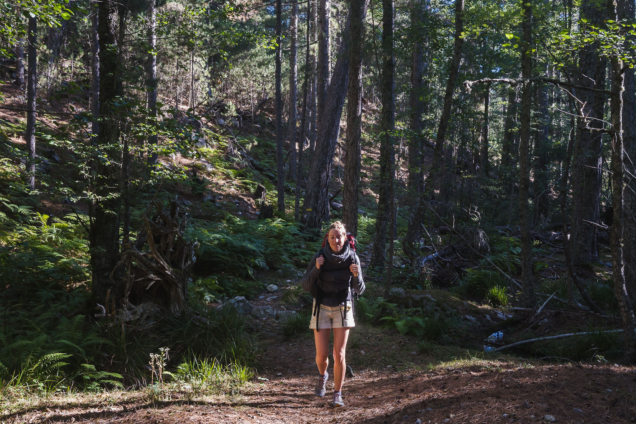 Corsica_LL_42_DSC09492