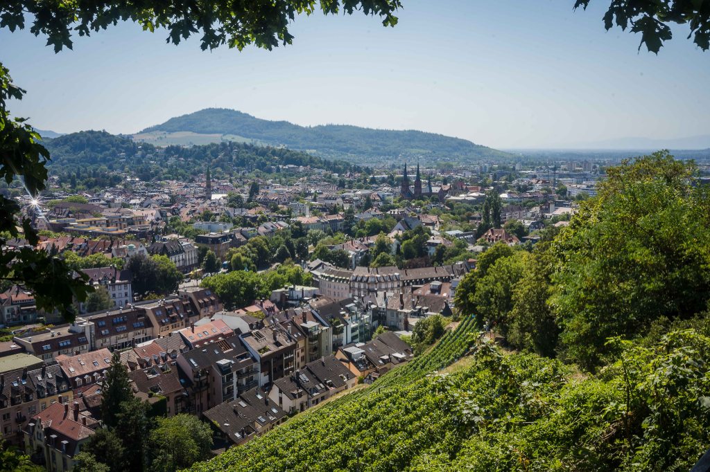 Bikepacking through the Black Forest in Germany. Cycling from north to south.